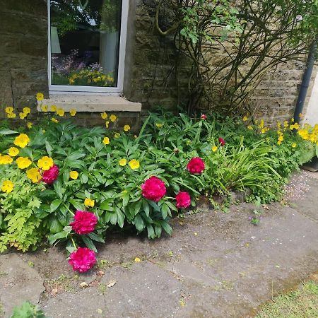 Mayfield Cottage Burtree Ford Esterno foto
