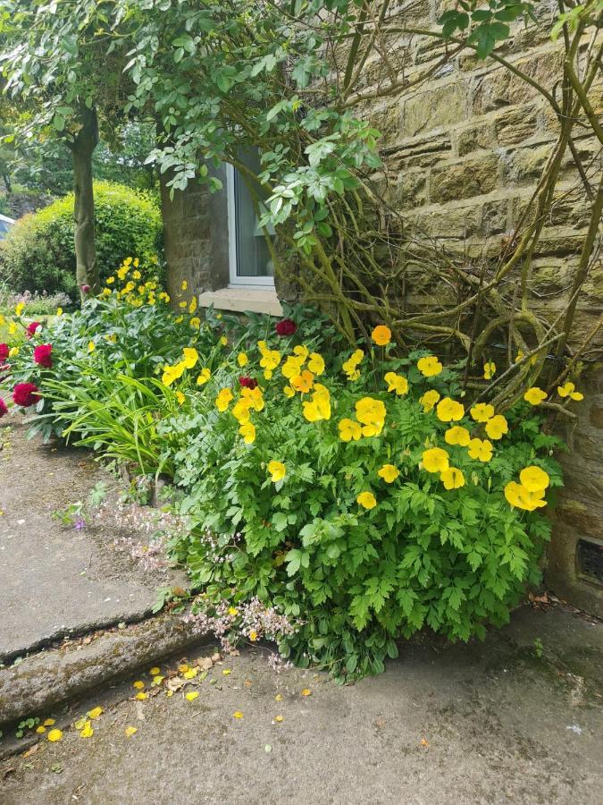 Mayfield Cottage Burtree Ford Esterno foto