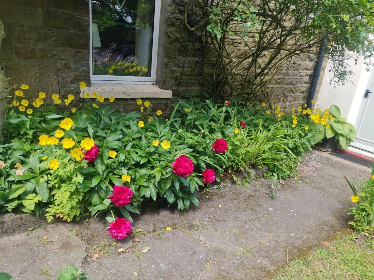 Mayfield Cottage Burtree Ford Esterno foto